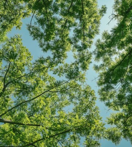 About Circular Sky